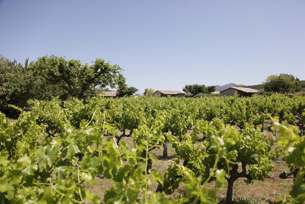 多曼德布里多德吉特法式乡村别墅 Mirabel-aux-Baronnies 外观 照片